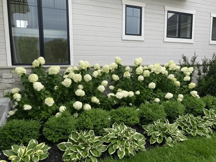 Flower bed mulch installation and lawn maintenance work
