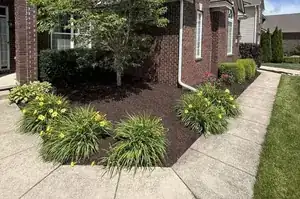 Landscape design and installation