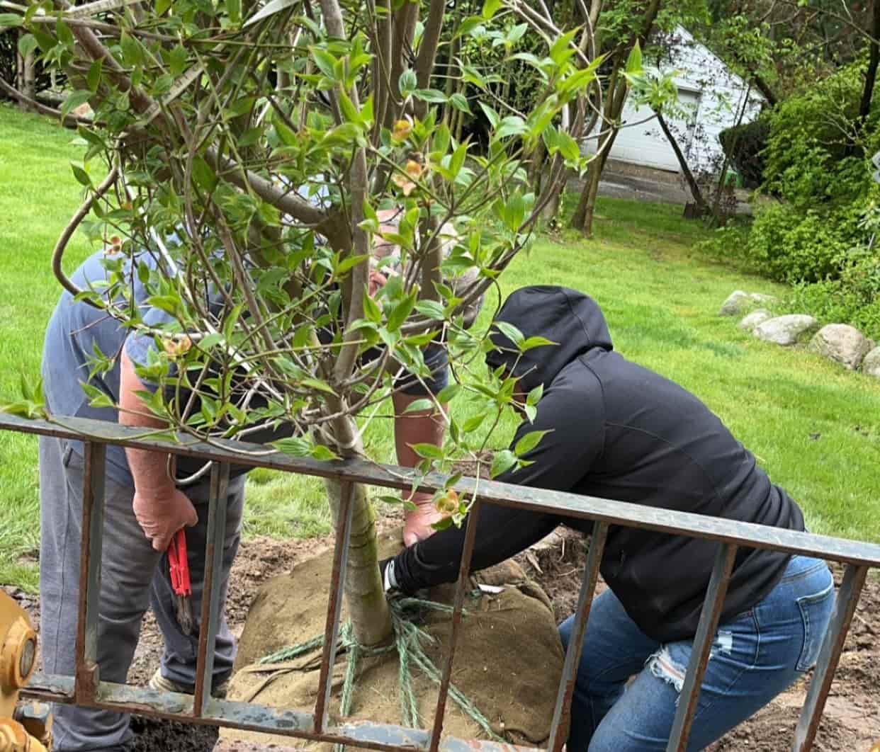 Residential landscape renovation