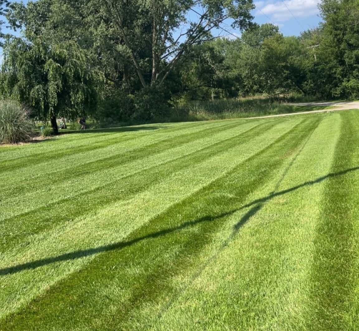 Residential lawn care service