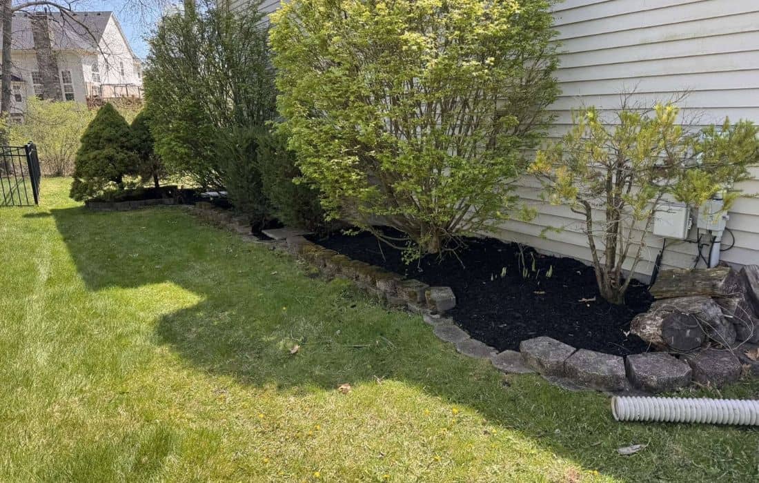 Trimmed landscape renovation