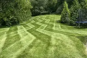 Lawn maintenance — freshly mowed green lawn