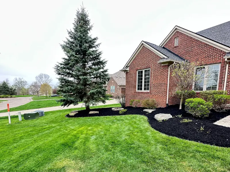 Mulch installation and lawn care work
