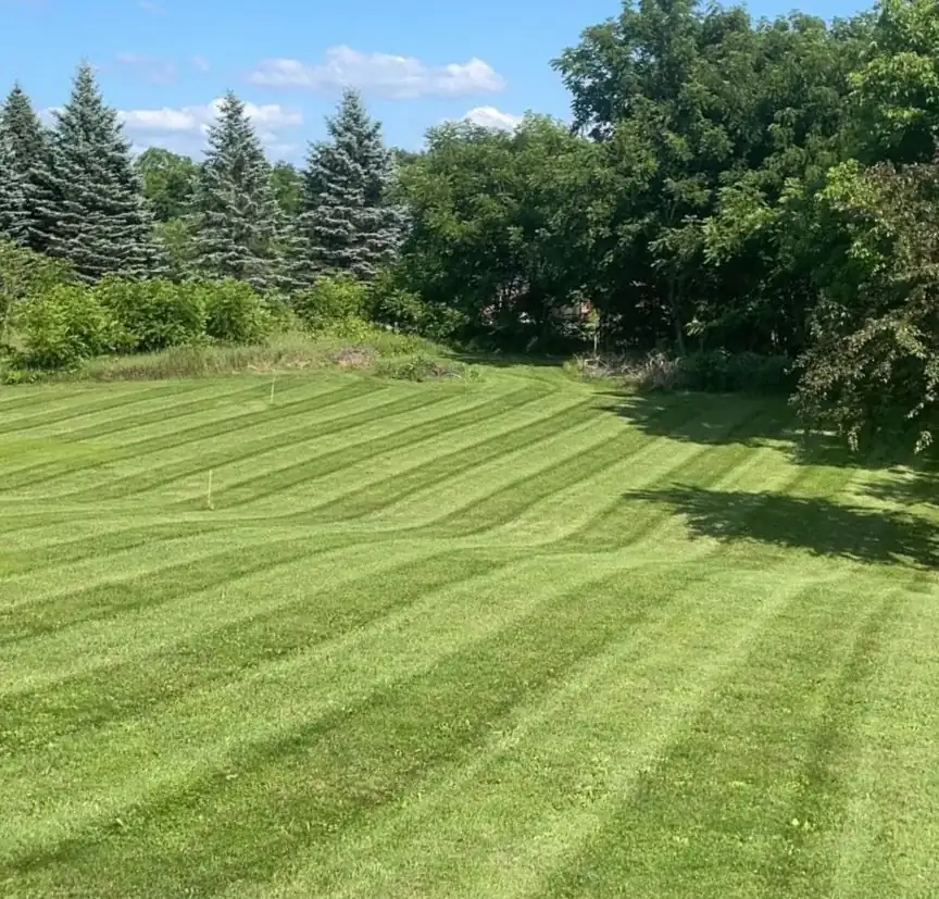 Professional lawn care and property maintenance