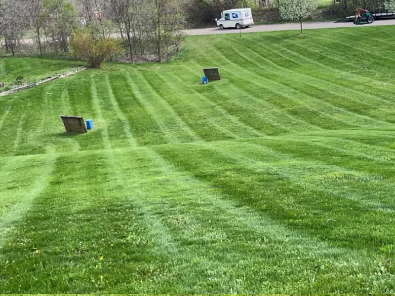 Professional landscaping striped lawn mowing service